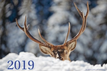 KALENDER 2019